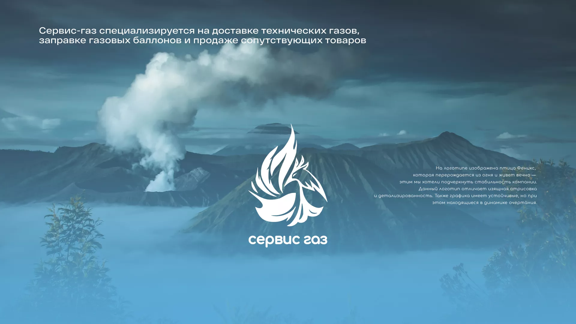 Создание сайта компании «Сервис газ» в Мончегорске