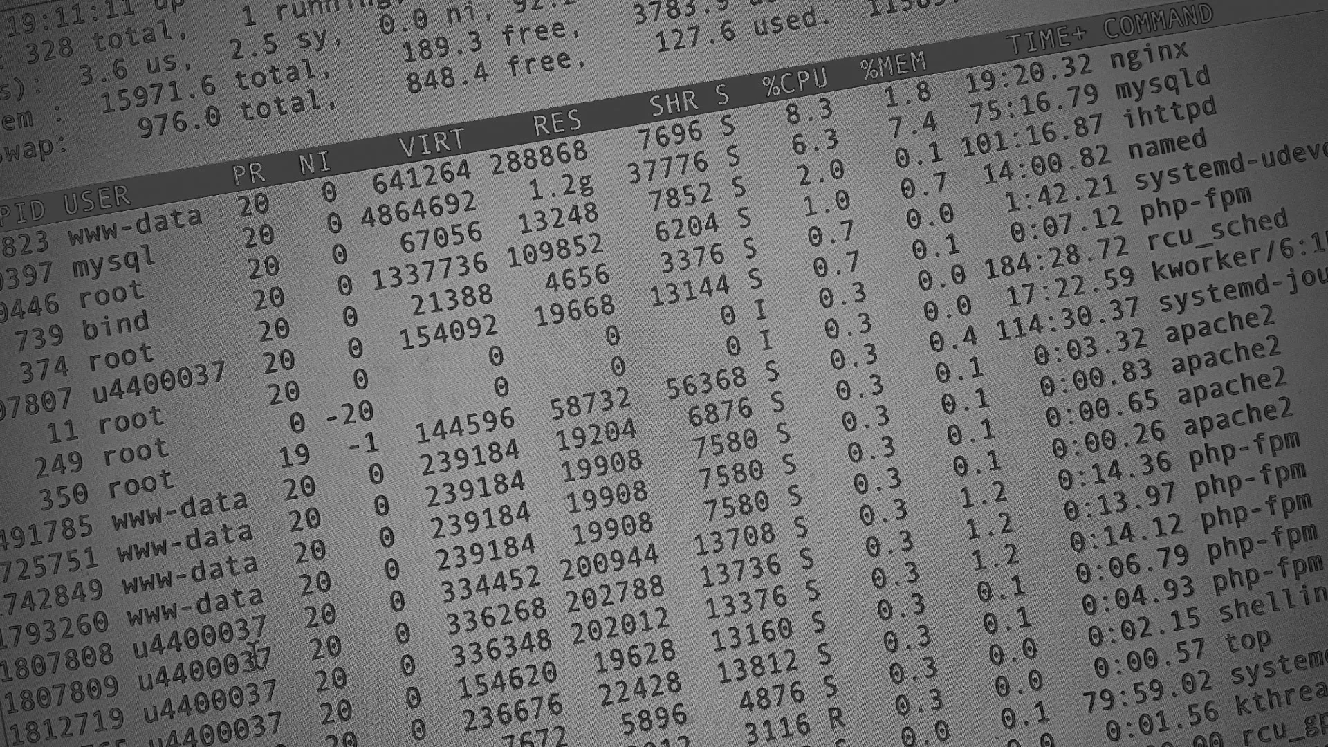 Настройка сервера в Мончегорске