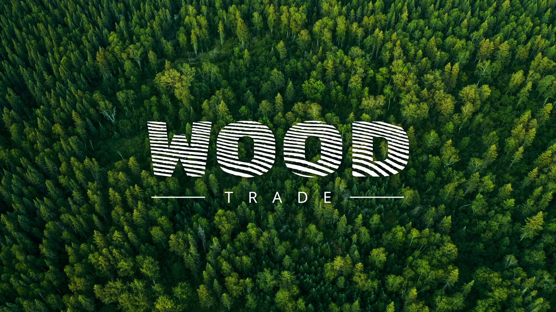 Разработка интернет-магазина компании «Wood Trade» в Мончегорске