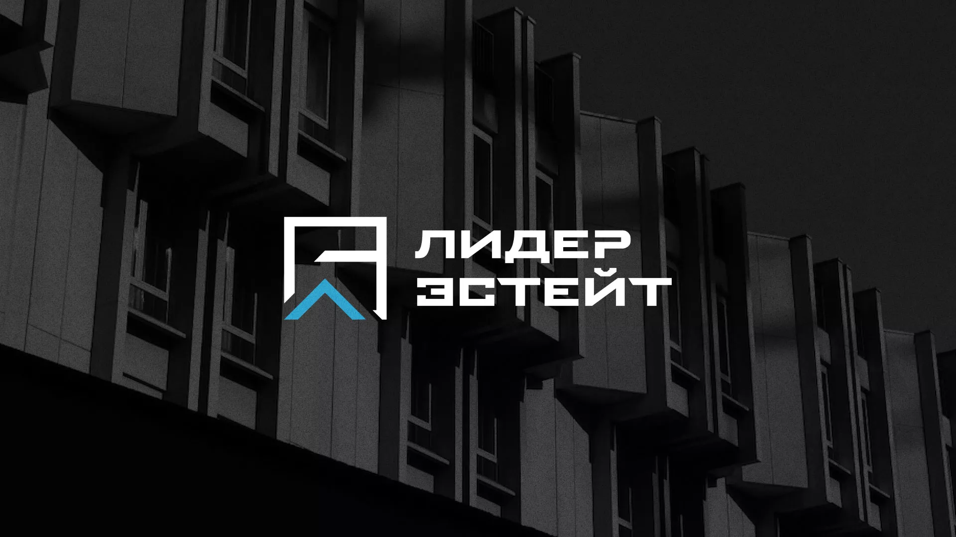 Разработка логотипа агентства недвижимости «Лидер Эстейт» в Мончегорске